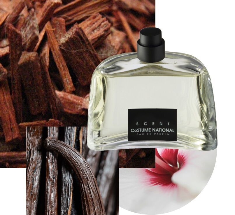 Kvapusis vanduo Costume National Scent, 100 ml - Senukai.lt
