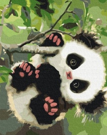 Krāsošanas komplekts Symag Paint it! Sweet panda BS51959, daudzkrāsaina