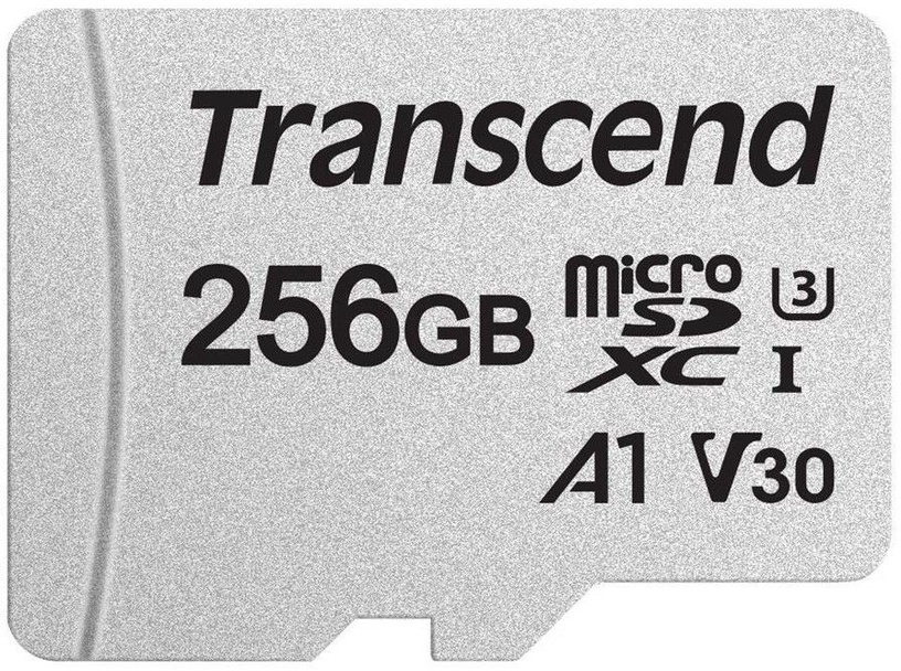 Mälukaart Transcend, 256 MB