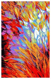 Paklājs Post Hali Santana 6632A_L0947, daudzkrāsains, 300x200 cm