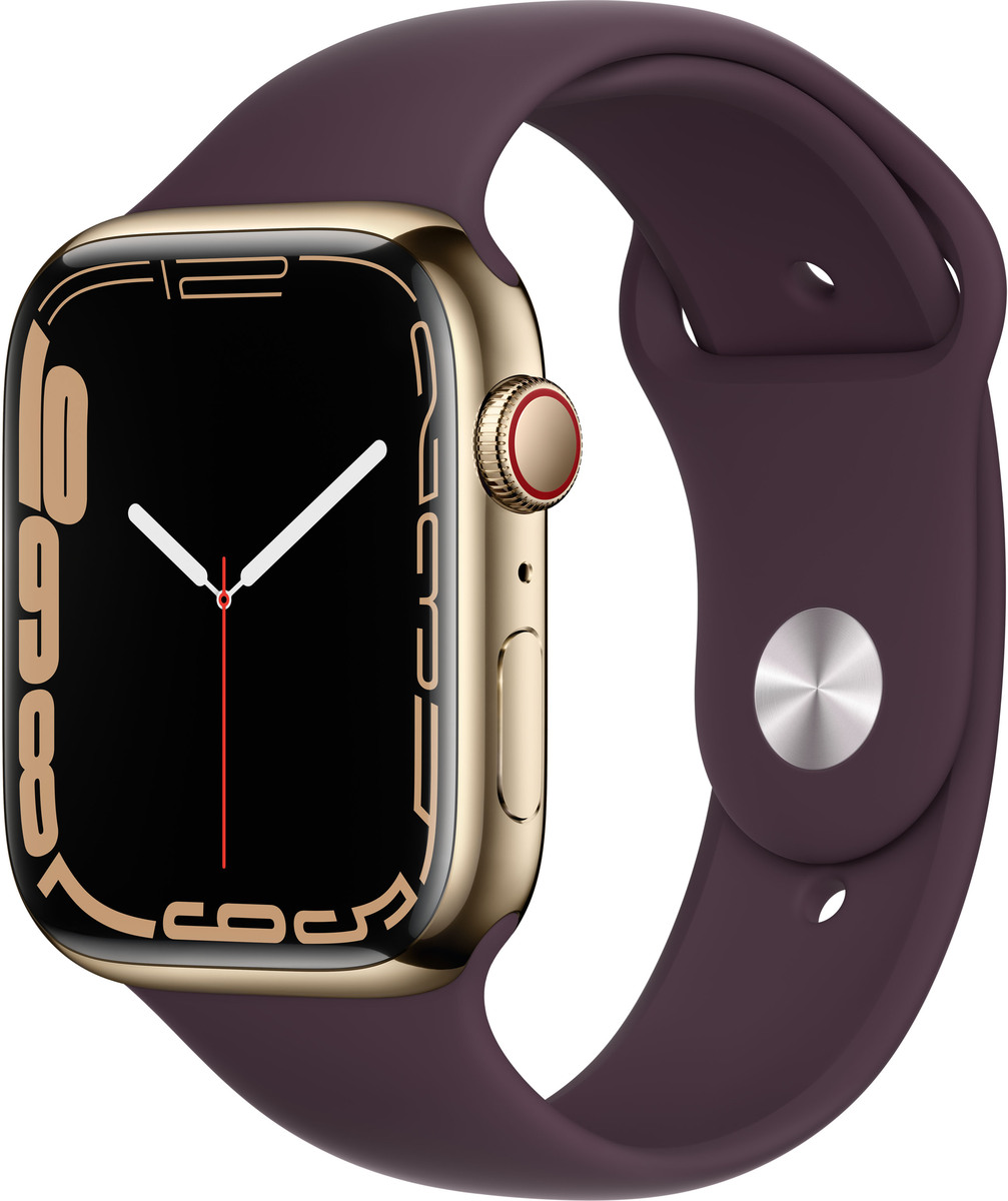 Išmanusis laikrodis Apple Watch Series 7 GPS + LTE 45mm Stainless Steel LT,  aukso - Senukai.lt