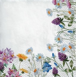 Paw Decor Collection Spring Frame Napkins 33x33cm