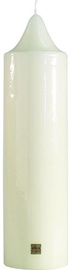 Eika Candle 40x8.6cm Champagne