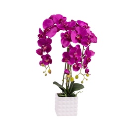 Dirbtinė orchidėja vazone, 65 cm