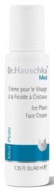 Dr.Hauschka Ice Plant Face Cream 40ml