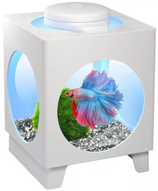 Tetra Betta Projector White