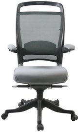 Biroja krēsls Evelekt Fulkrum 09262 Gray