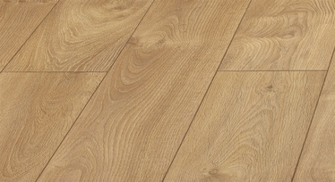 Lamineeritud parkett D3033 tamm AC4 32 8mm