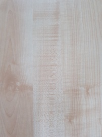 MDL dēlis Maple, 174 cm x 59.5 cm x 1.6 cm