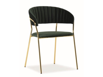 Стул для столовой Signal Meble Lira Velvet Green/Gold, 1 шт.