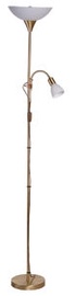 Wofi Top2 Lamp 391807 Brushed Gold