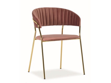 Стул для столовой Signal Meble Lira Velvet Antique Pink/Gold, 1 шт.