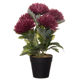 Искусственные цветы в вазоне хризантем 4Living, черный/зеленый/фиолетовый, 310 мм