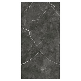 Flīzes keramika Seramiksan Atlas 642502, 500 mm x 250 mm