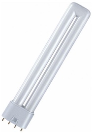 Lambipirnid Osram Dulux L Lamp 36W 2G11 Cool White