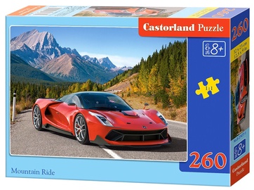 Puzle Castorland 260pcs