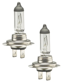 Bottari Halogen H7 12V 55W 2pcs 33816