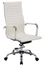 Signal Meble Office Chair Q-040 Cream