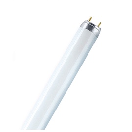 Lambipirn Osram Luminofoorlamp, valge, G13, 36 W, 3350 lm