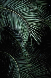 Fototapetas Rasch Young Artists 100990,300x186cm