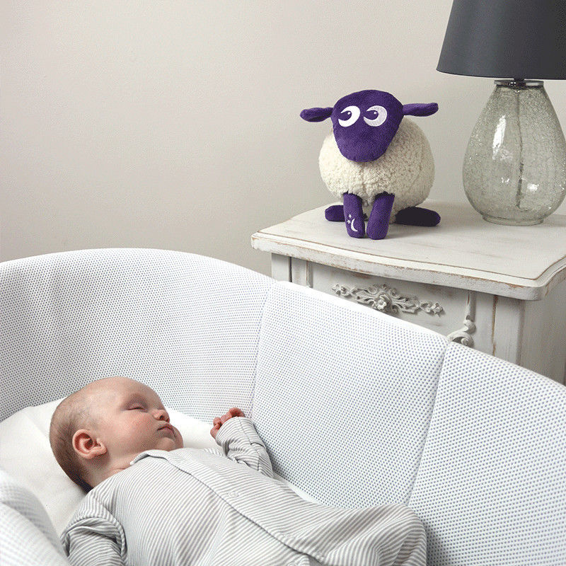 sweet dreamers sheep