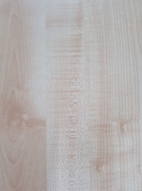 DETAĻA LAMINĒTA 295X1300X16 KĻAVA