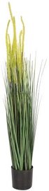 Home4you Bouquet Herbarium With Pot In Garden H100 Light Yellow 83836