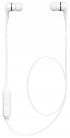 Ausinės Toshiba CoolVibe White