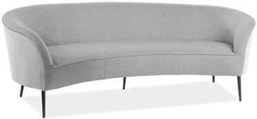 Signal Meble Elvis Sofa Grey