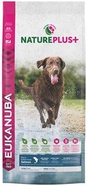Sausā suņu barība Eukanuba, zivs, 14 kg