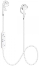 Ausinės Esperanza EH187 White, belaidės