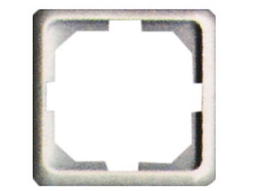 Rāmis Vilma R01V, ziloņkaula