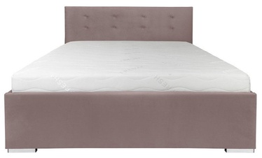 Lova Black Red White Molisa Violet, 160 x 200 cm
