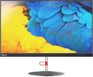 Monitorius Lenovo ThinkVision X24-20