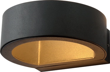 Domolleti Wall Light Eagle ELED-634A