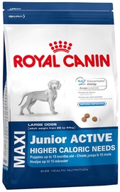 Royal Canin SHN Maxi Junior Active 15kg