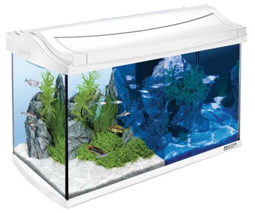 Akvaarium Tetra AquaArt, valge, varustusega, 60 l