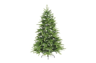 Jõulukuusk Winteria Premium 180cm