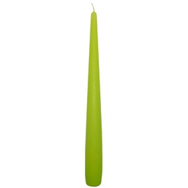 SVECE 22245780 2.2X24.5CM ZAĻA