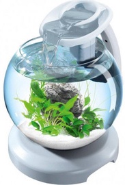 Akvaarium Tetra Duo Wafer Globe LED, valge, 6.8 l, varustusega