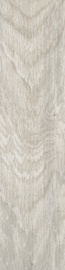 Põrandaliist PVC Izzi 21x55x2500mm