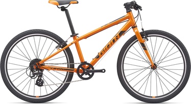 Giant ARX 24 20'' Orange 21