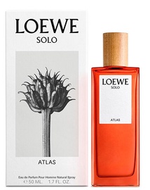 Парфюмированная вода Loewe Solo, 50 мл