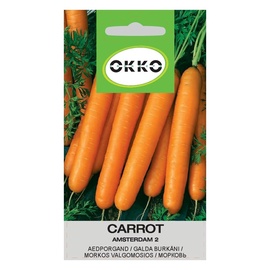 GALDA BURKĀNI AMSTERDAM 2 (OKKO)