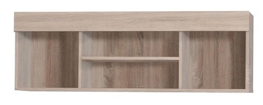 Seinariiul MN Cezar, tamm, 120 cm x 25 cm x 40 cm