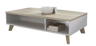 Kafijas galdiņš Cama Meble Lotta 110 Sonoma Oak/White, 1100x600x350 mm