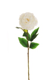 Искусственный цветок пион, белый, 670 мм