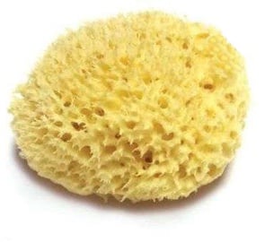 Bellini Natural Sea Sponge Honeycomb No.14