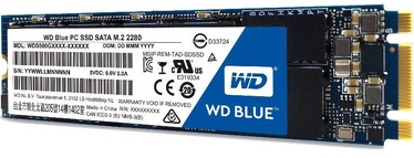 Western Digital Blue SSD 1TB M.2 WDS100T1B0B