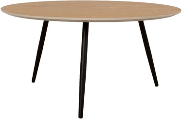 Kohvilaud Home4you Rio, 800x800x400 mm